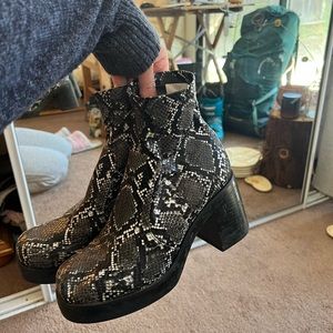 Steve Madden Snakeskin Booties
